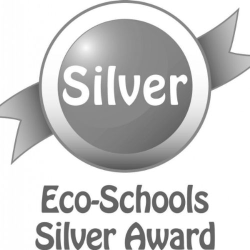 Eco-Schools Silver Award Logo.jpg