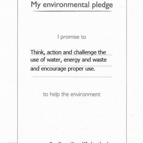 Eco pledge-code.jpg
